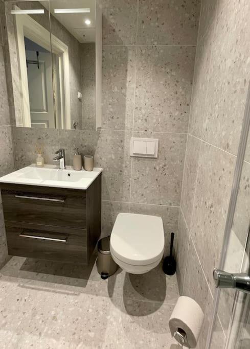 Modern And Cozy Studio Apartment In Central 오슬로 외부 사진